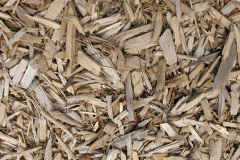 biomass boilers Carey